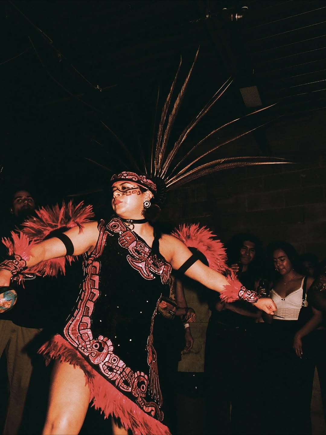 Kumbionik: Dark Edition media 16